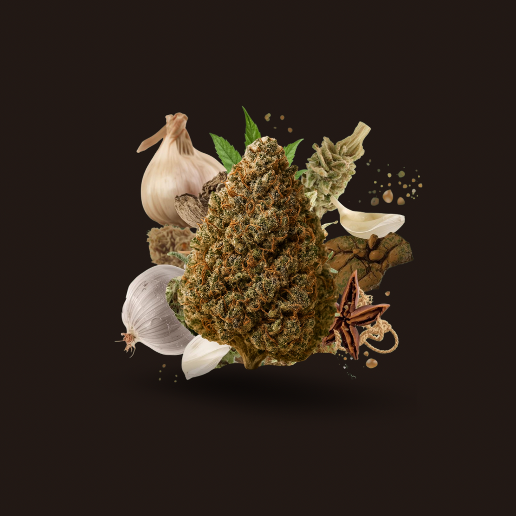 Garlic Crusher 29.94